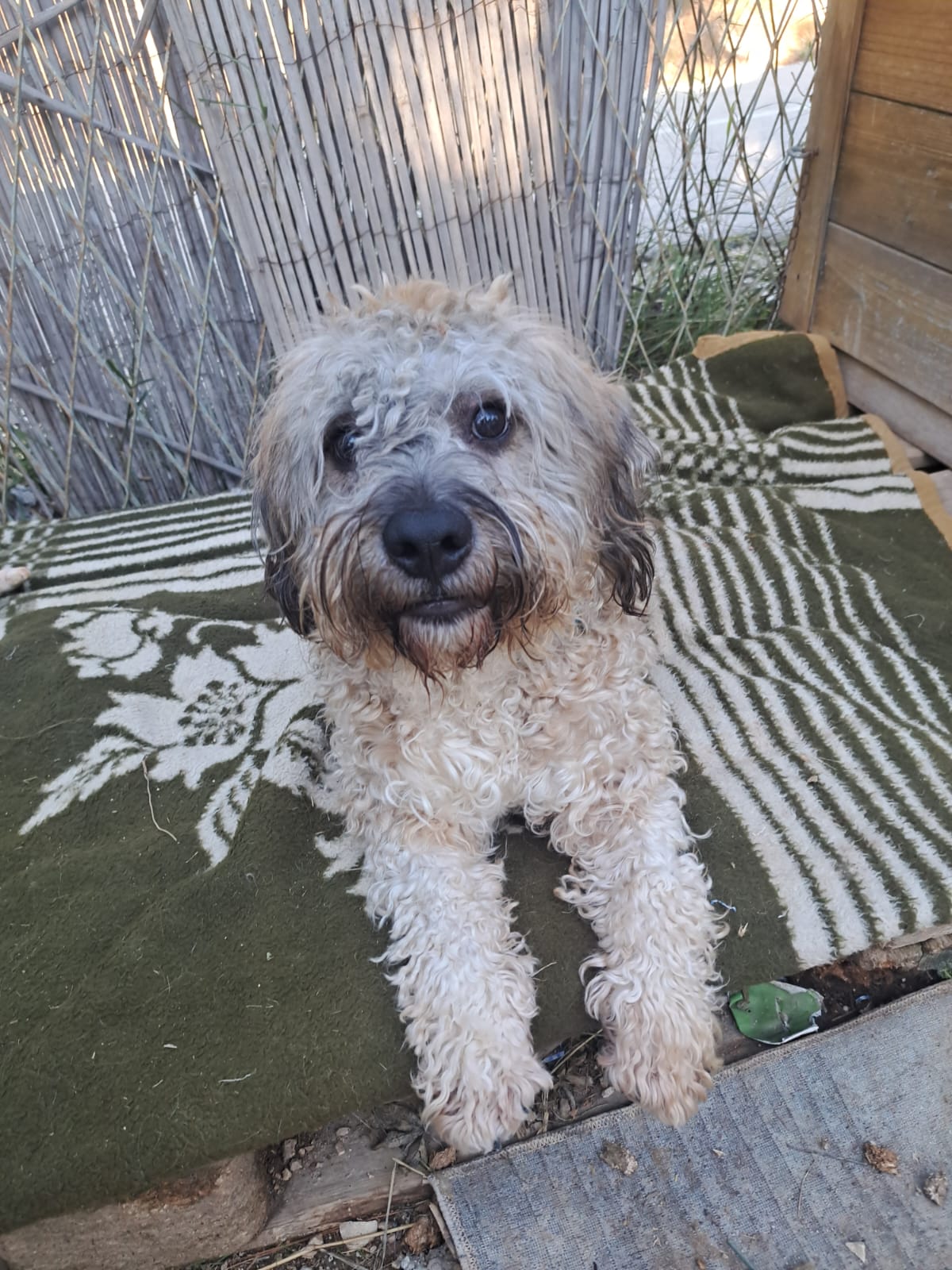 551dd97c-f620-4a97-8b90-6afafddbbf16