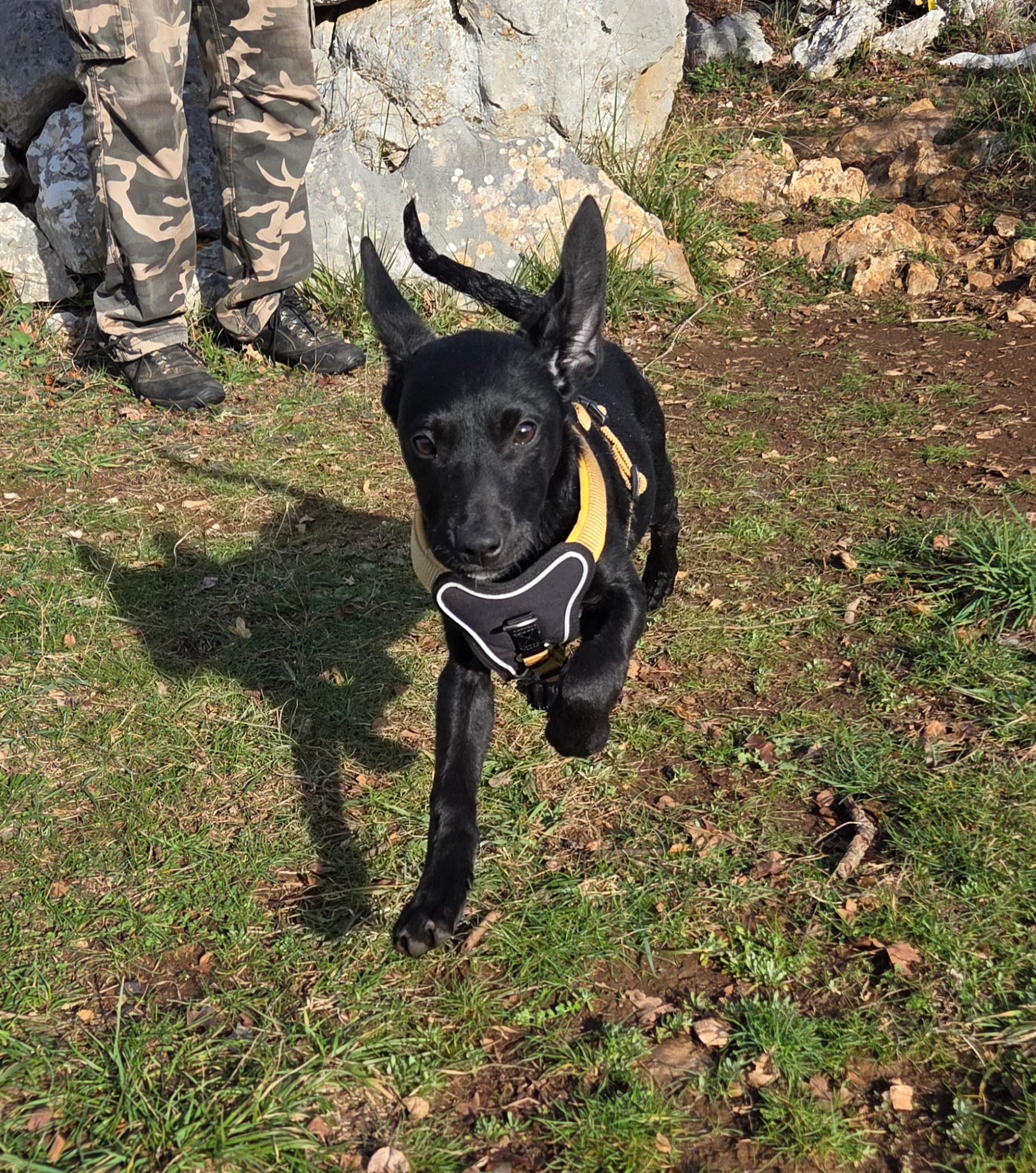 59c2325b-b294-4d90-bb76-3abe8f5c32c2