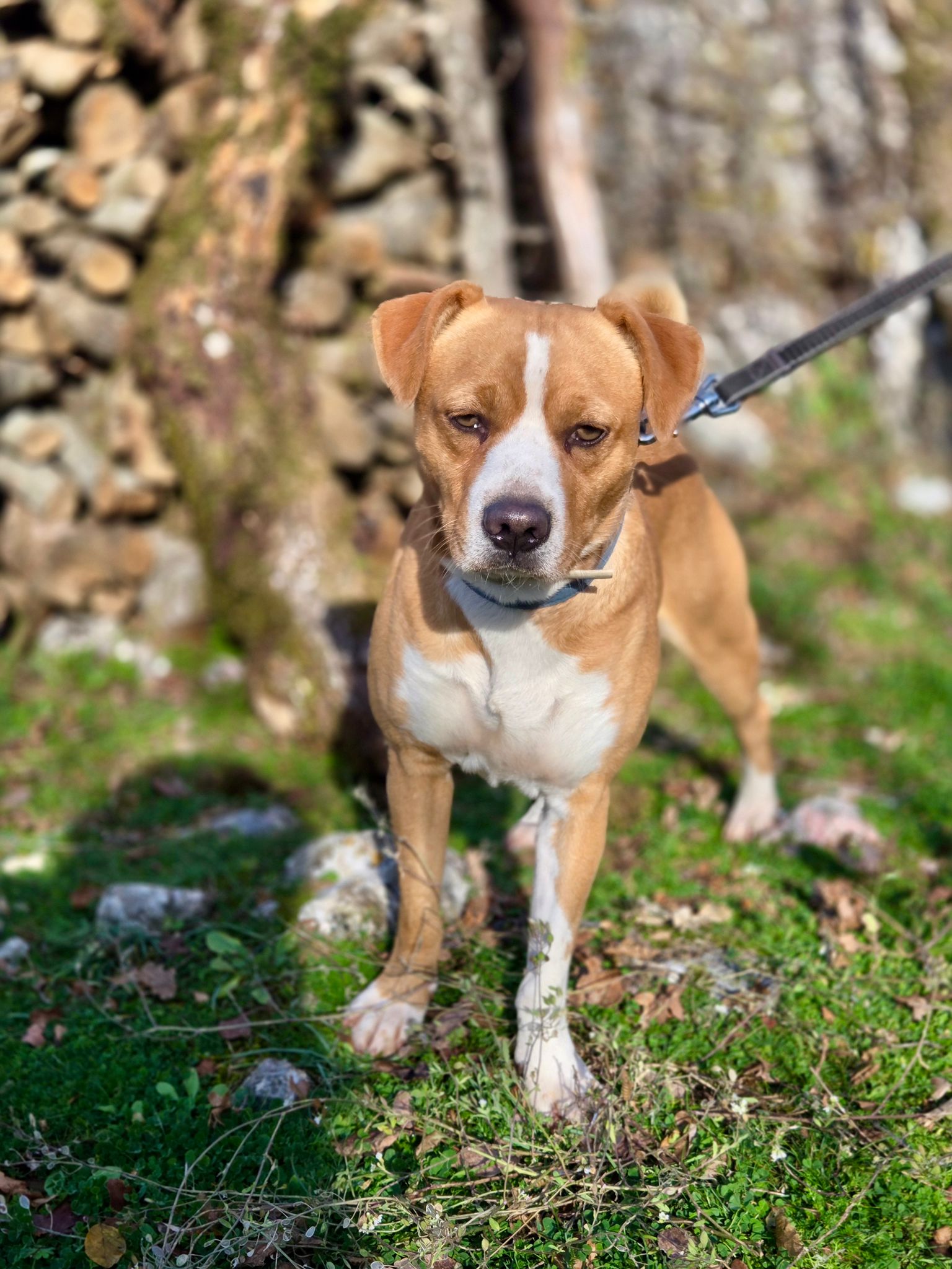 5e16ce42-b896-444b-940c-b024b6e10612