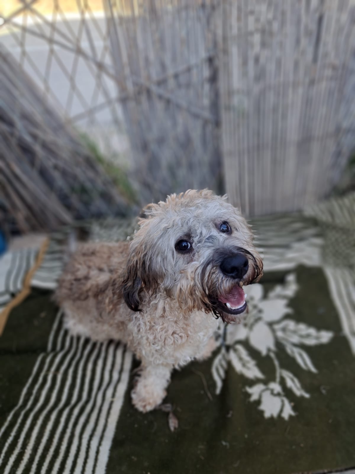 5f895bab-2399-4d88-9ca6-9cacce5ef349