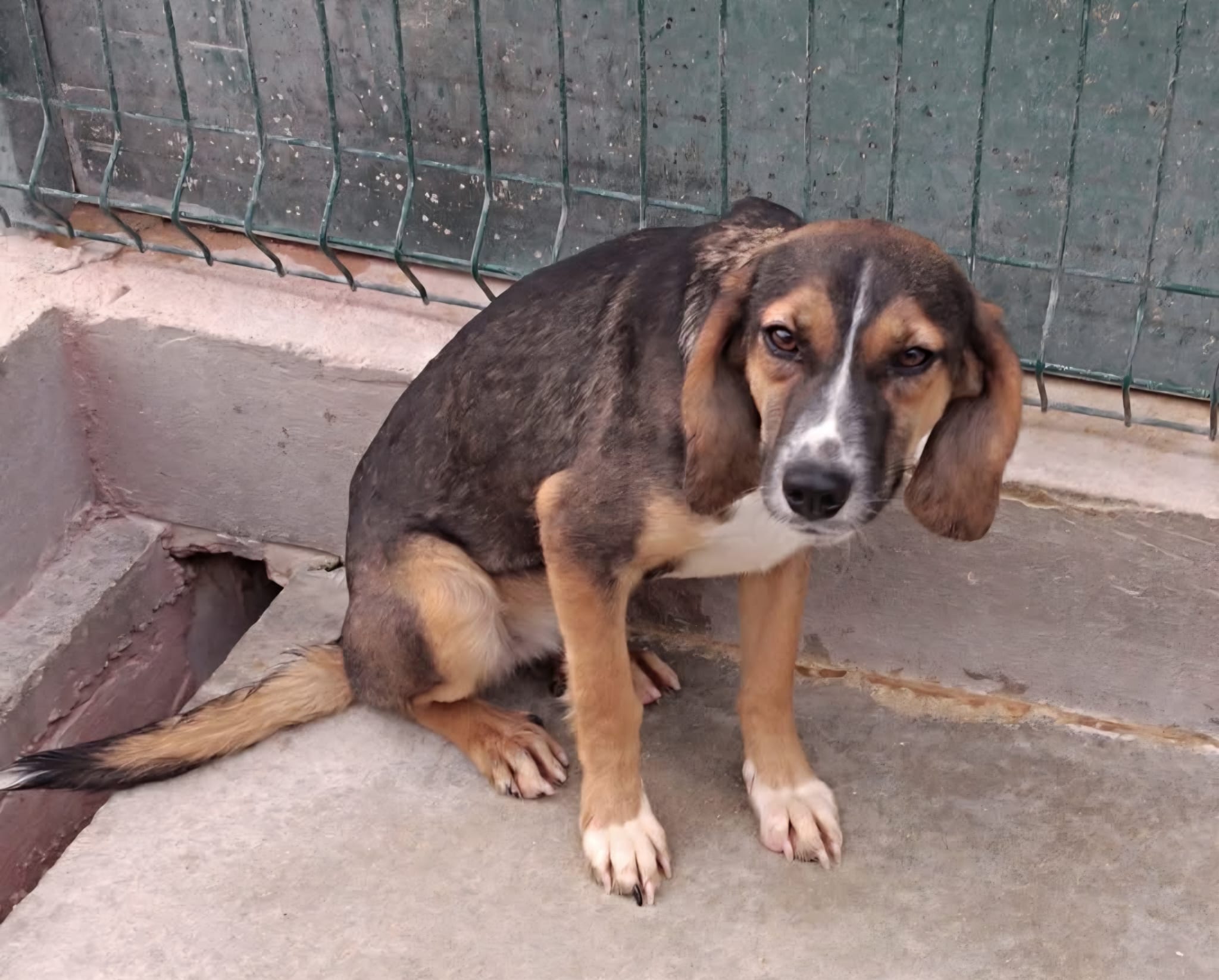 609f21e7-54bd-4e4b-b0f5-d0afddd3a8d6