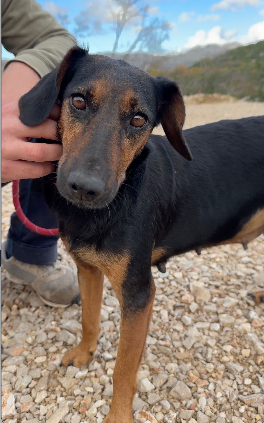 69f69890-6d00-47e7-b669-0838b1de3ed1