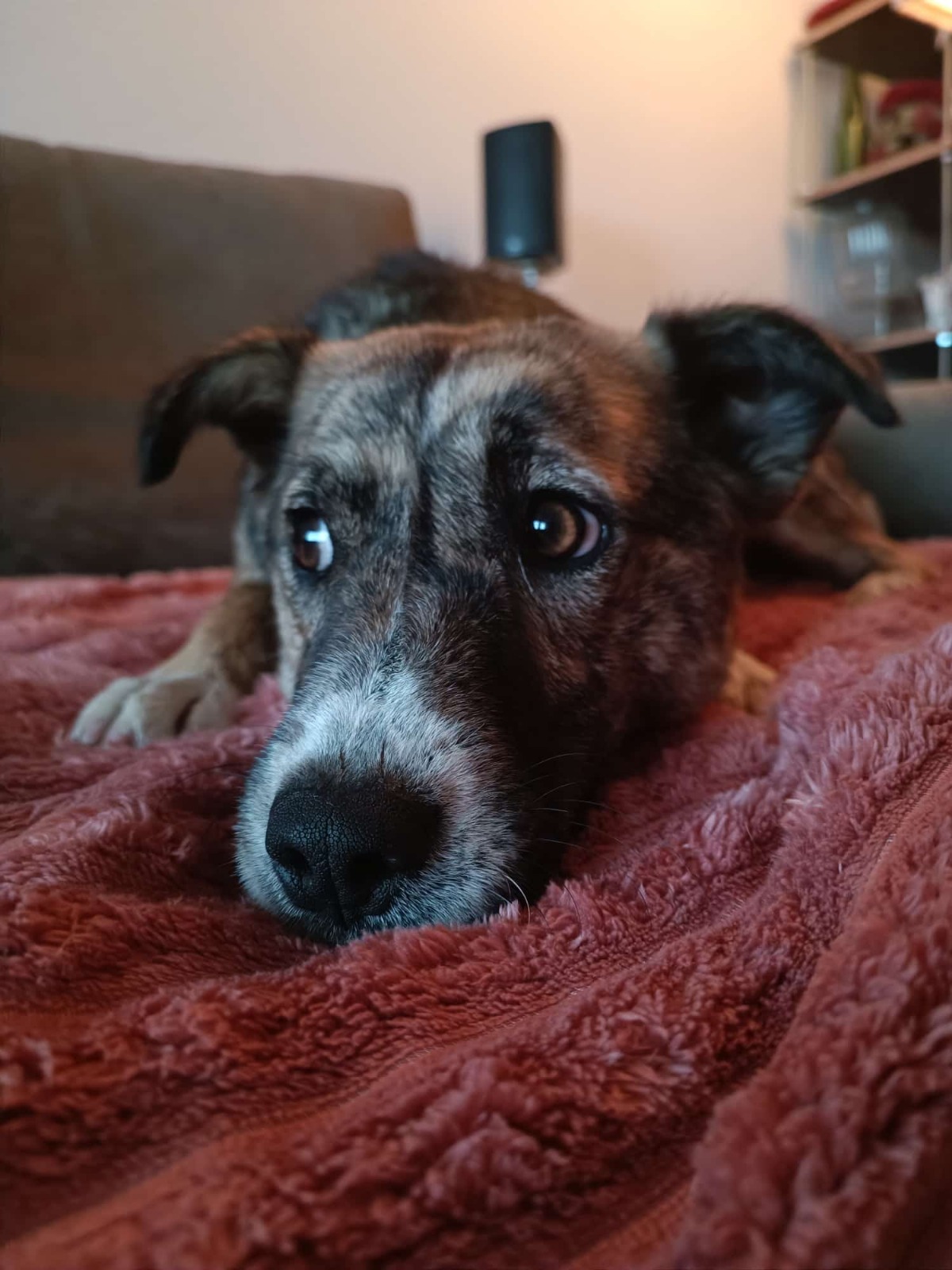 6d2040d1-9d16-4c61-b4e0-b1b073852db9