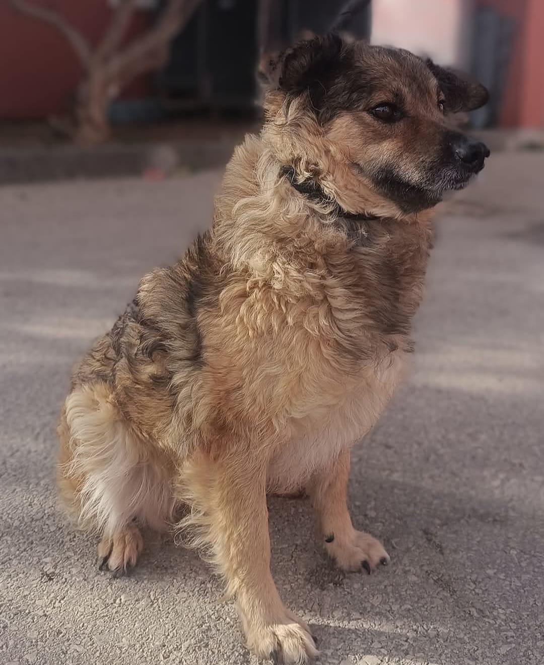 6e33dfde-52a0-4383-80b1-37b5e5890adb