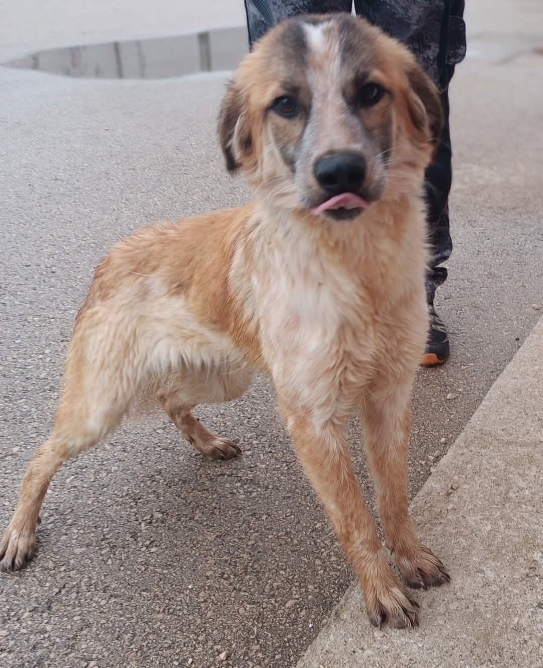 75326b83-411f-4344-b561-20ff65328e50