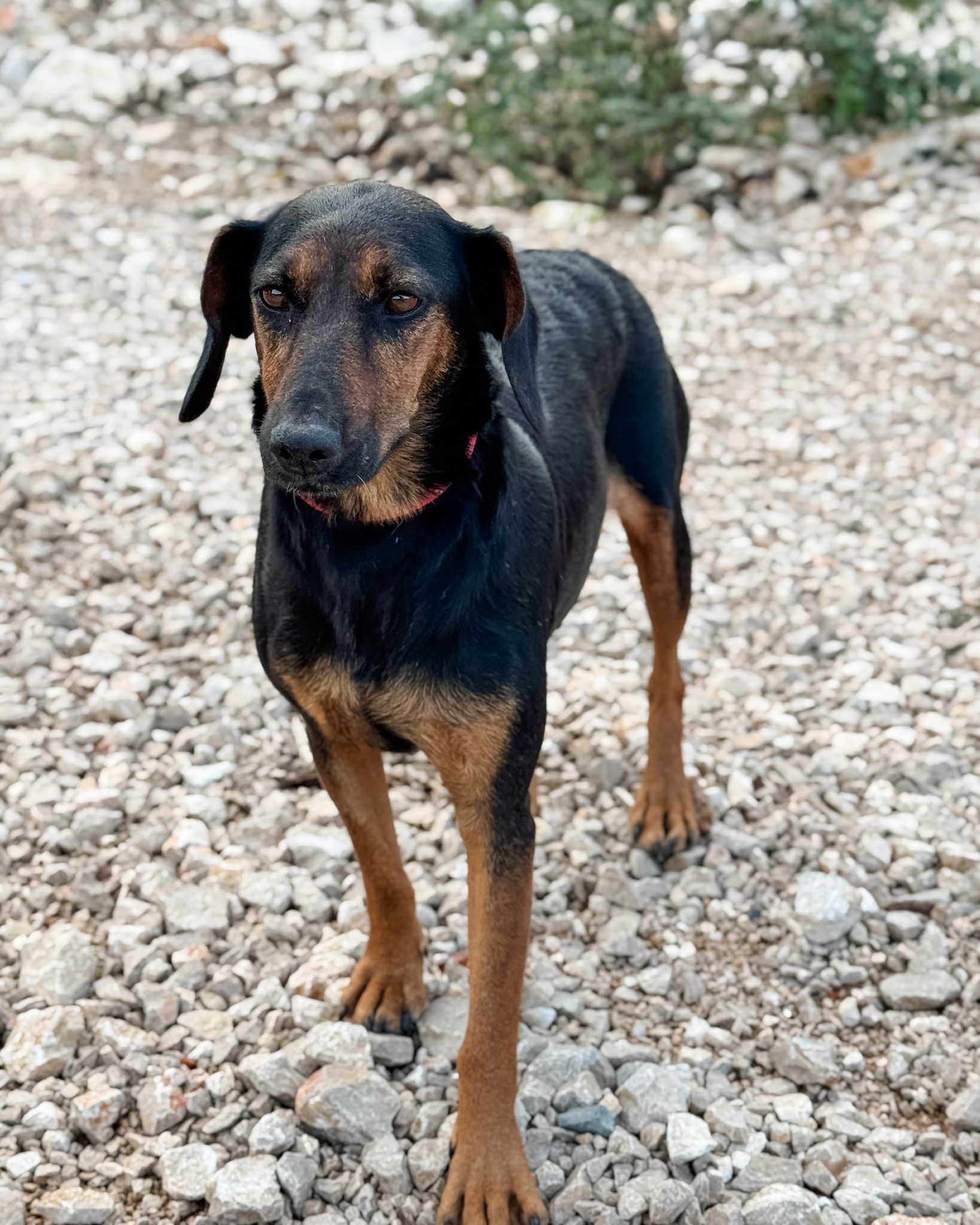 797a721c-4acc-4780-8908-0dc83eb1cc51