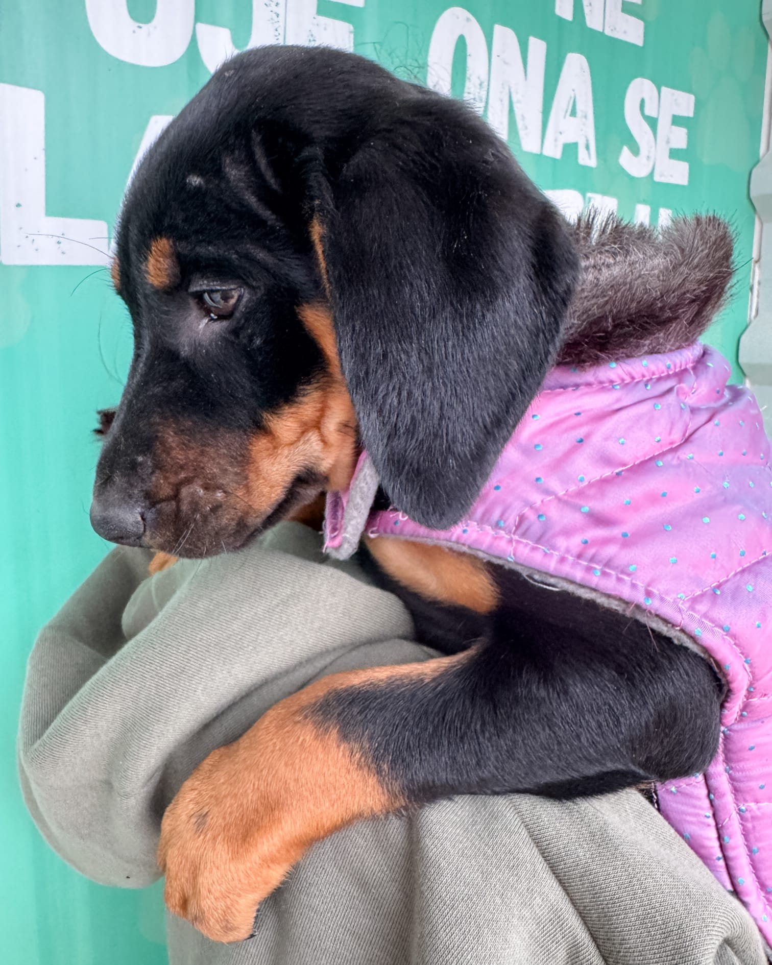 79d86d9c-8520-489e-b041-a3364fbe74c6