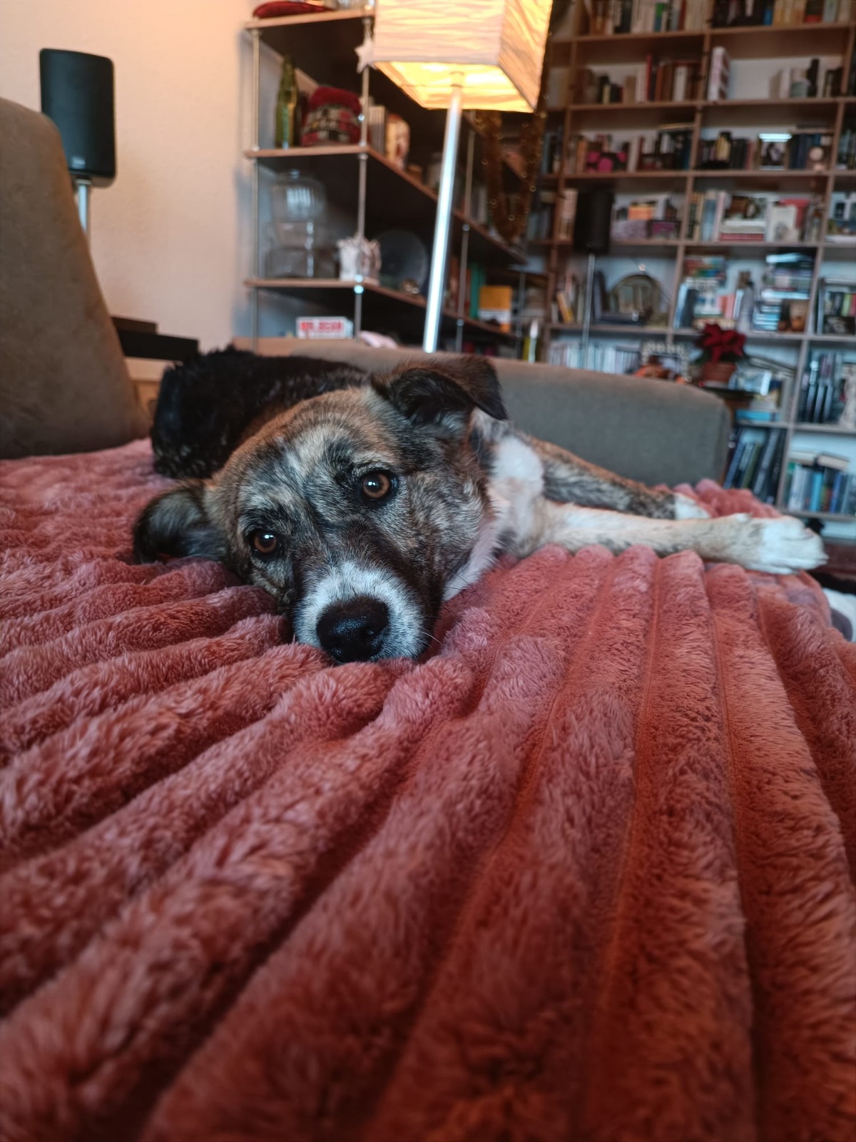 8ea14be9-4e11-4d66-a698-c74f2561529d