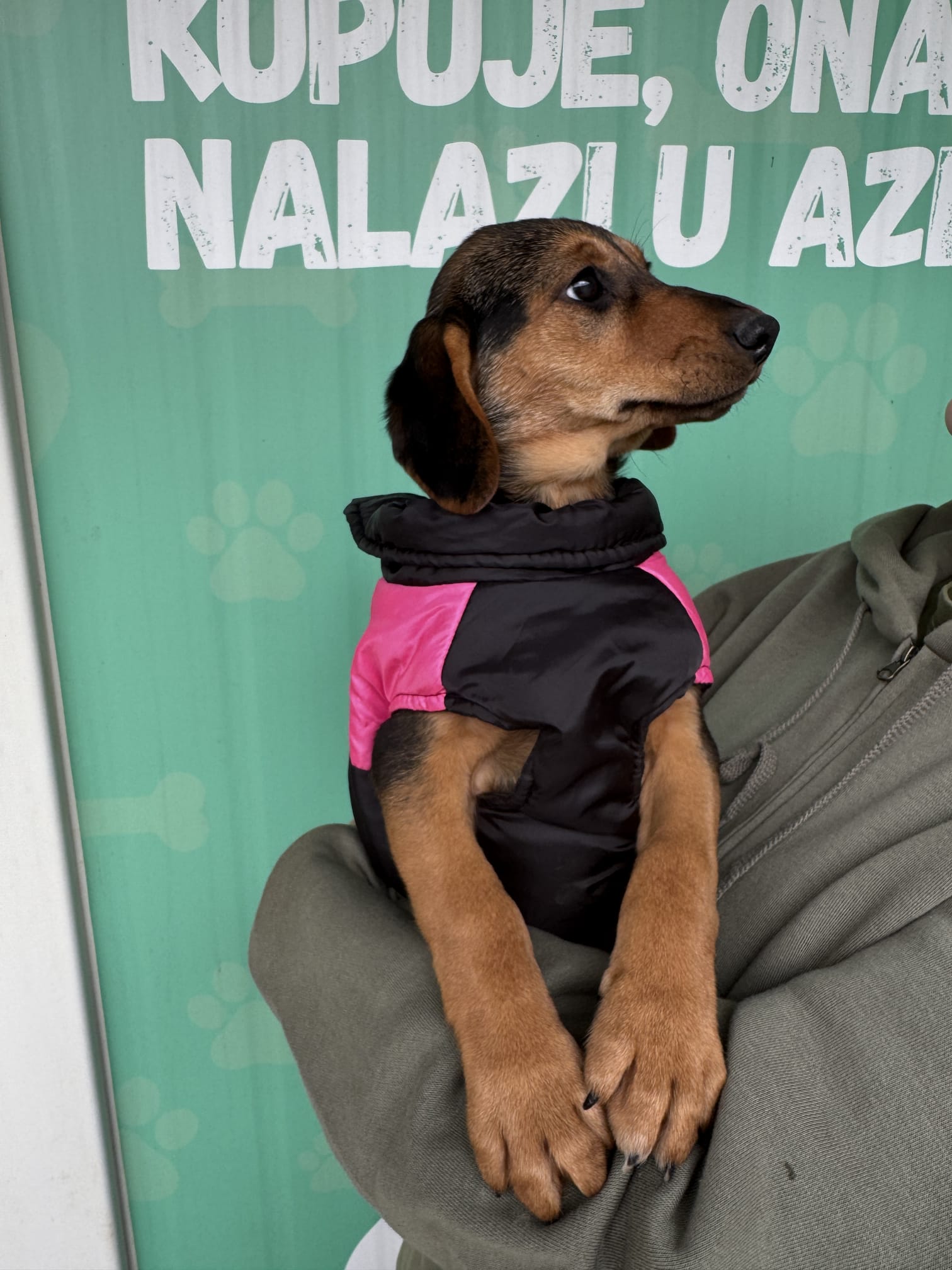 8f0e1dbe-bb07-46d9-b5a4-fa37dbec302f