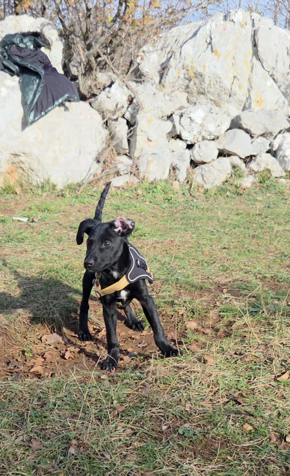 999524e4-fbf2-4e02-b219-f7c1c5c1fad7