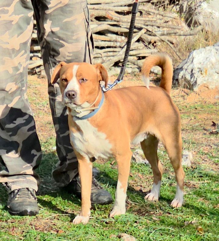 9ca54eac-a8cf-4667-8e8a-46b315de1aa5