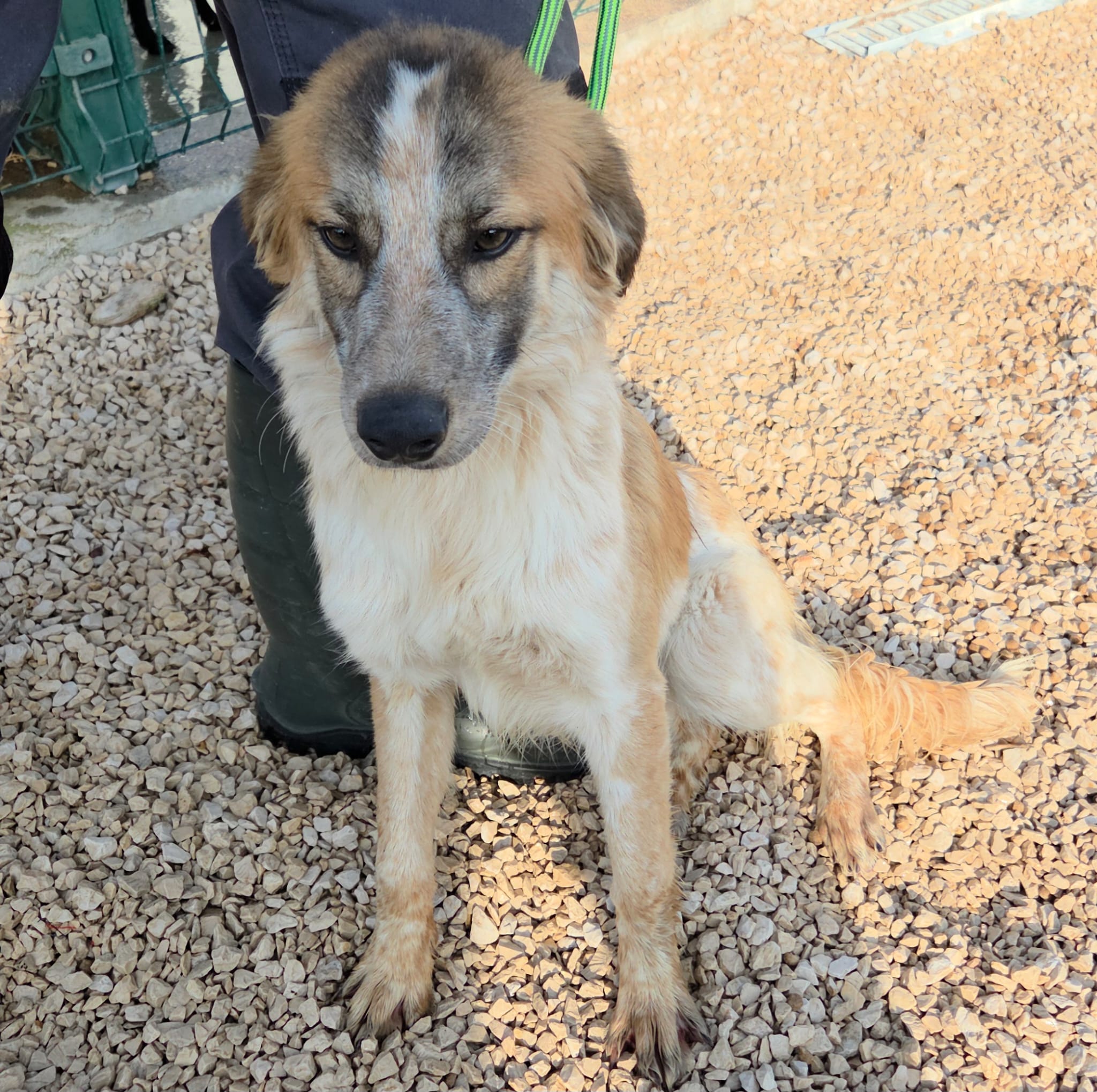 ad0a24be-3bce-454b-aa41-bbf1926547db