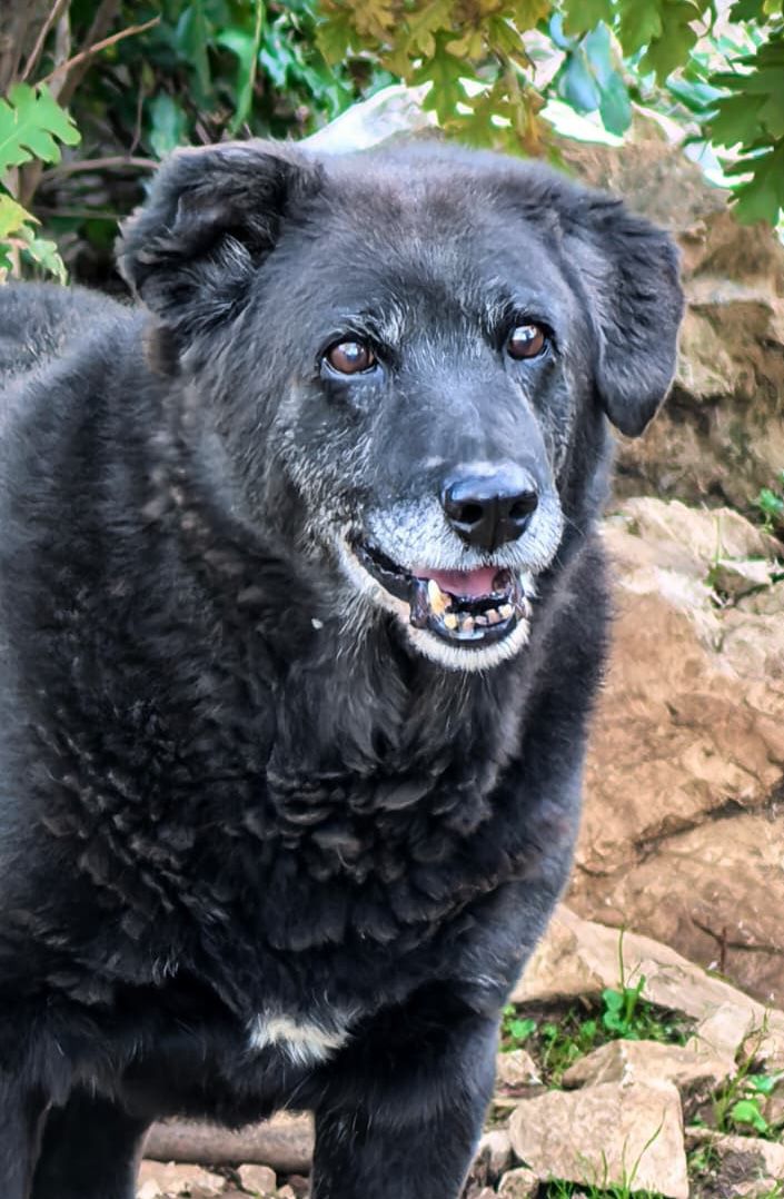 ae4e90b0-c777-45c8-9090-47a084eb5464