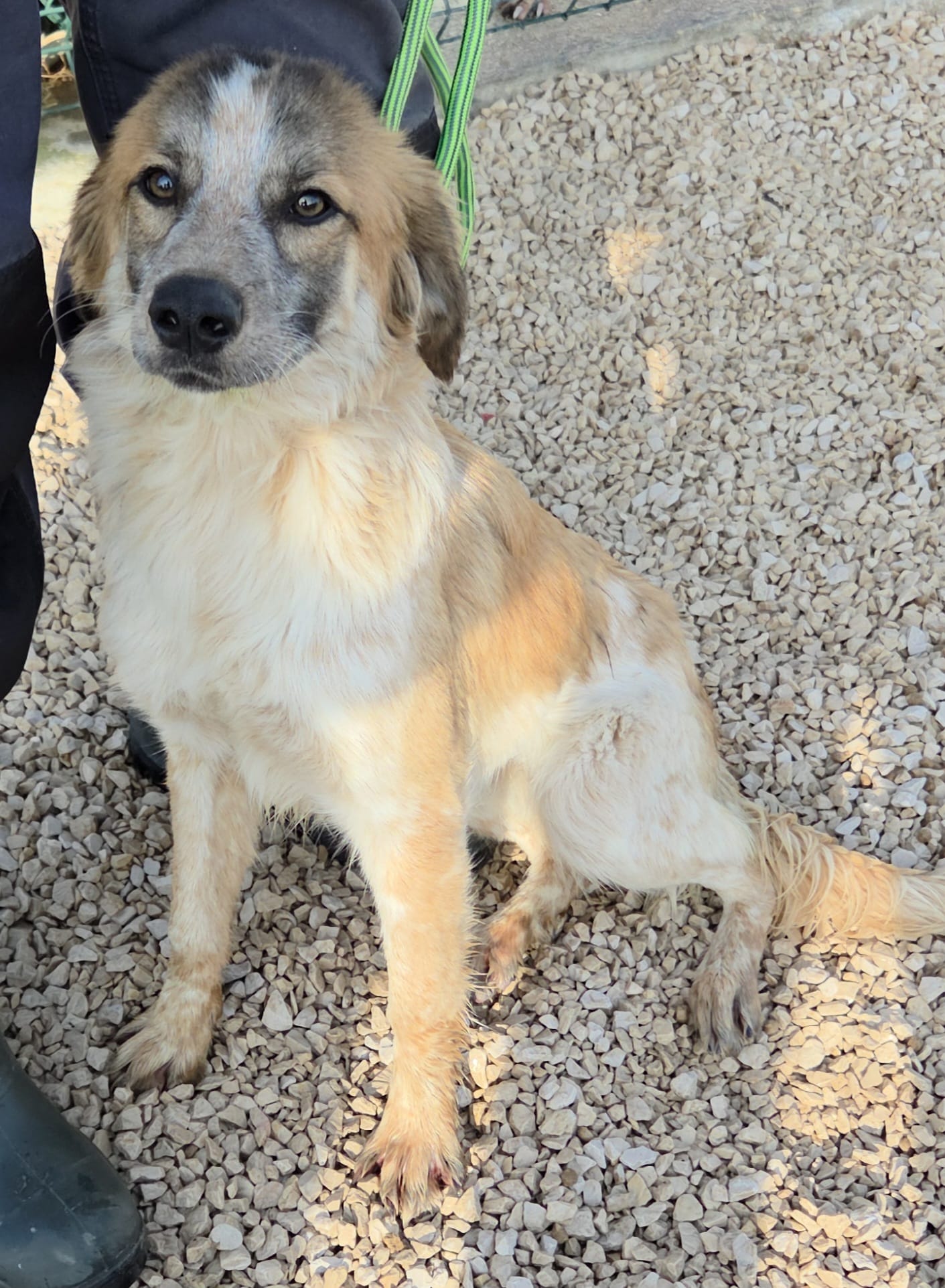 b3b8be09-81f9-4126-9e4e-9e0955bb90ac