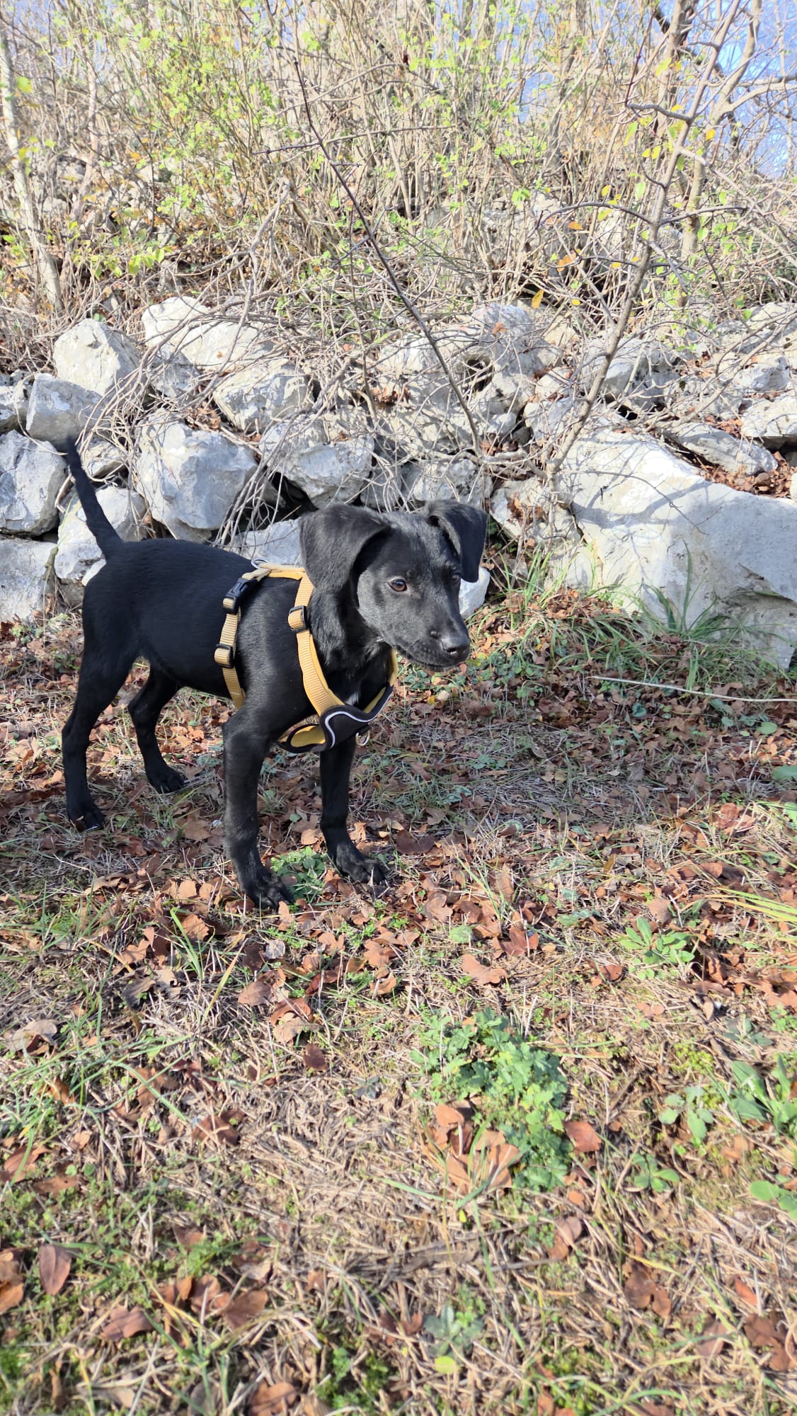 b8f0d8c2-ed27-4709-bb47-582dba879b3d