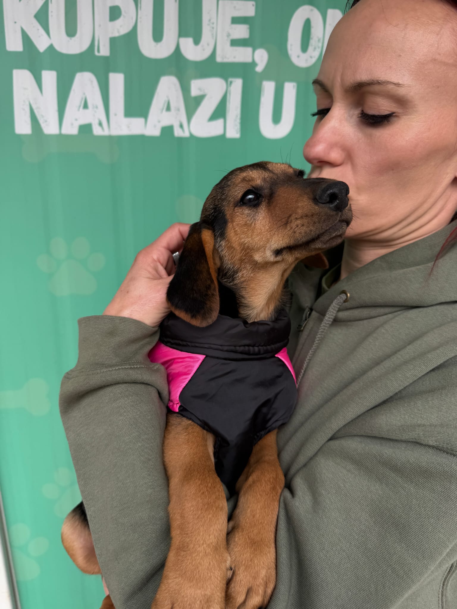 bb99f6c9-8acc-4118-b337-693184f5878d