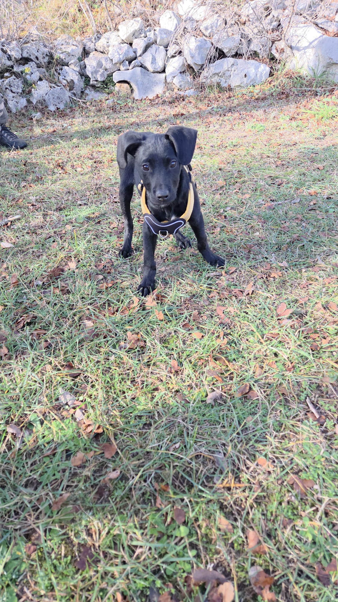 bc6f4748-e531-4917-9302-64c0b472260f