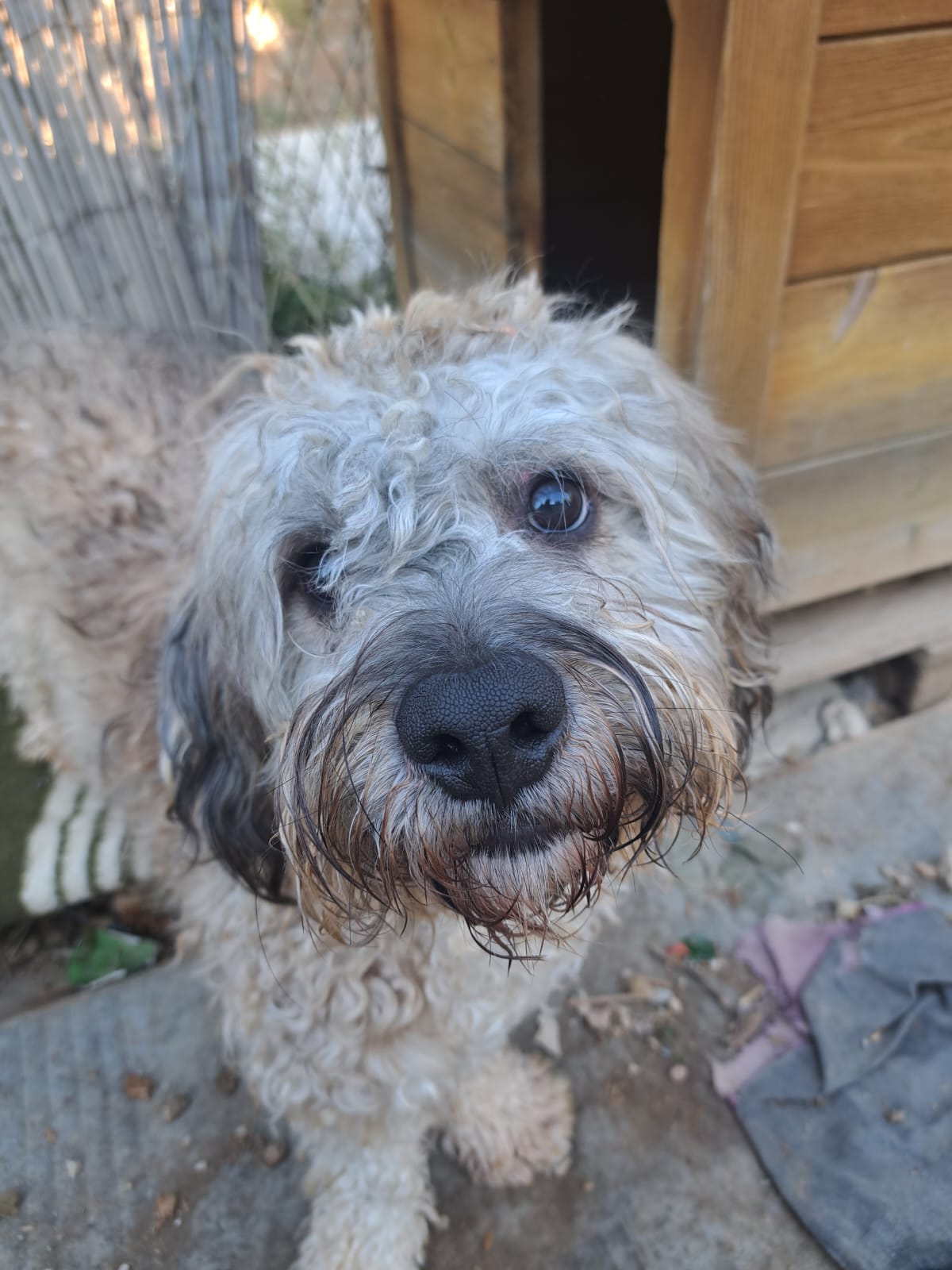 bfe14d73-4353-44c4-bf52-8f31ea3edb43