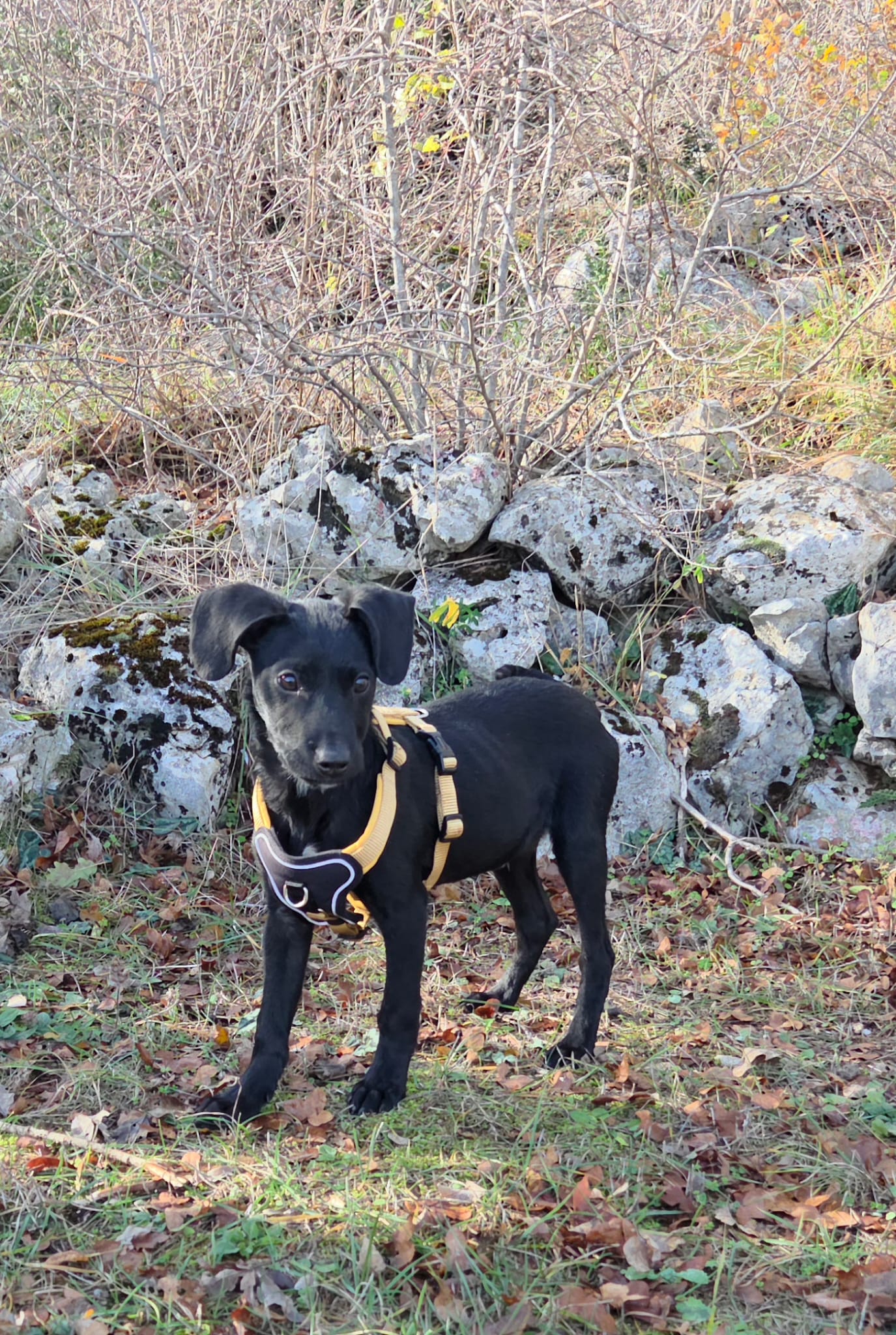 c5782734-37b4-4d3c-ae45-f6bb2fe47af9