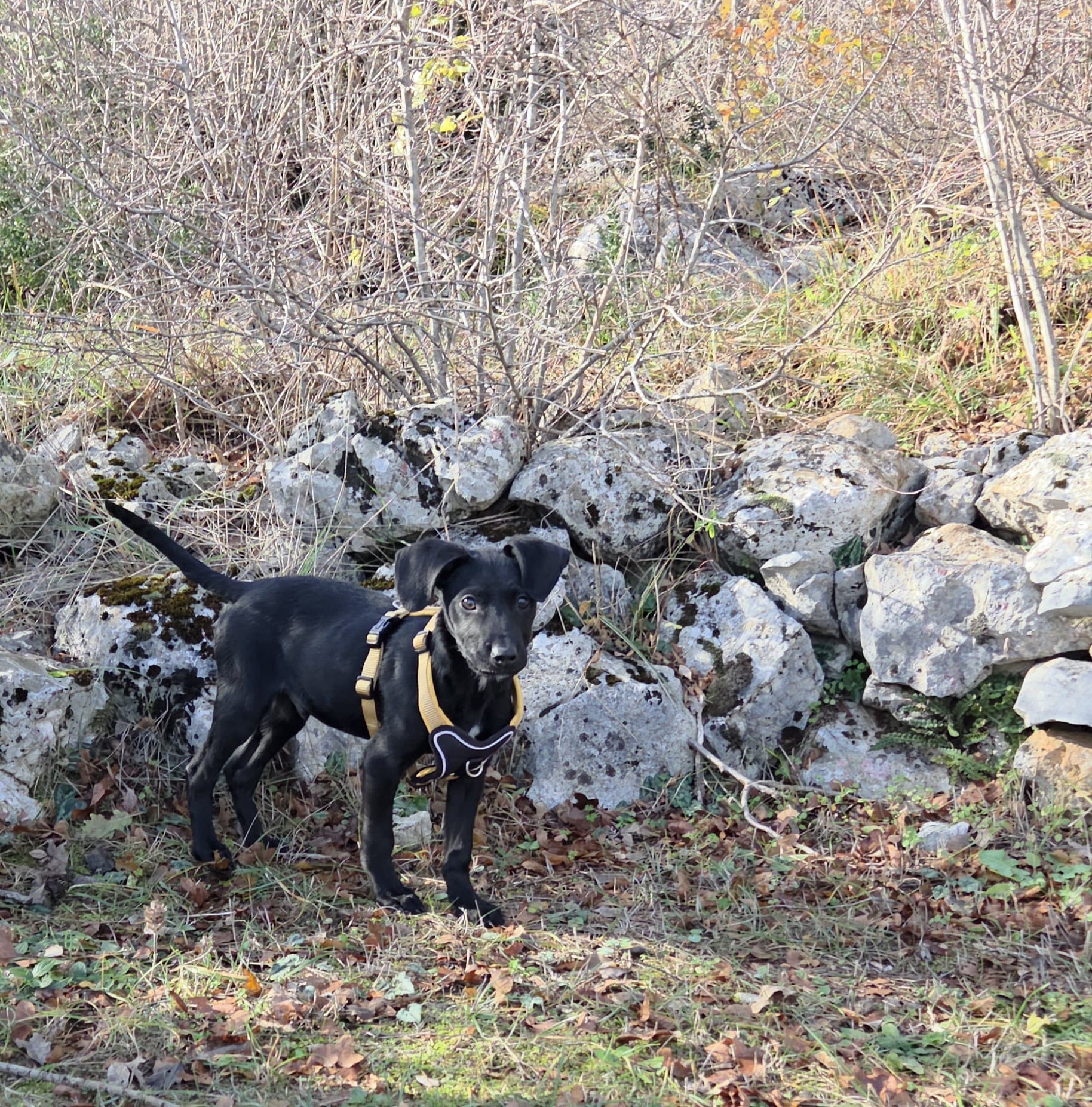 c7c35bbb-4e52-4877-9384-20c14be35305