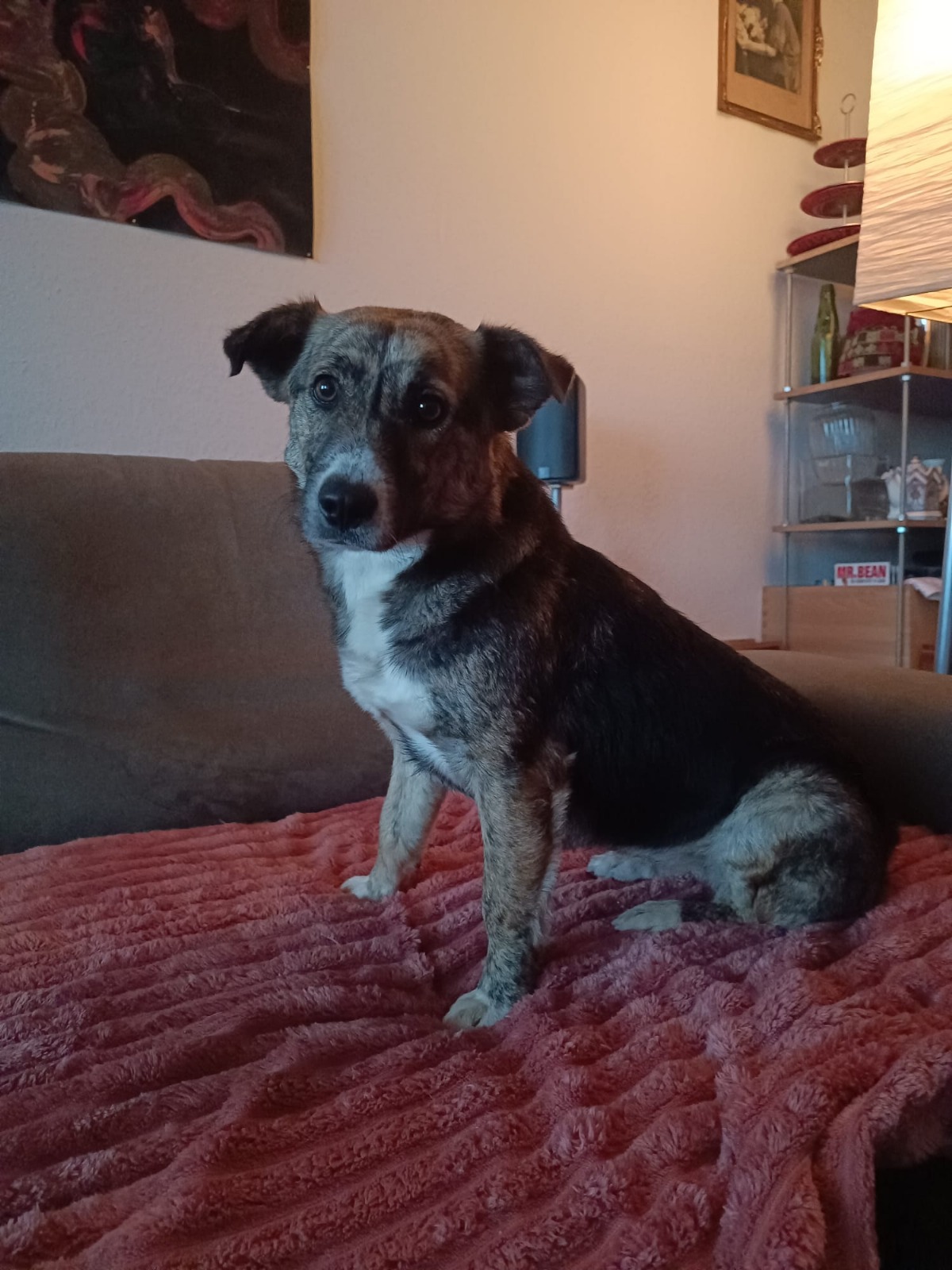 d192120b-1d21-49e0-8568-c083293c7d23