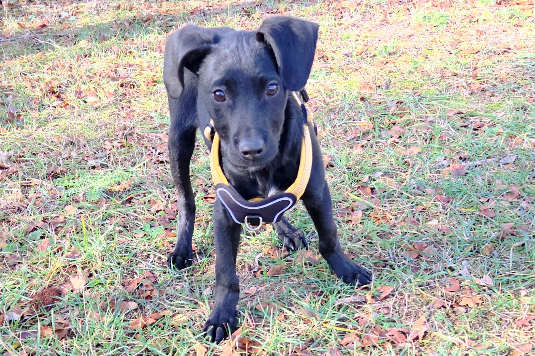 d4e87612-e781-4958-a92c-d10363dcb2d2