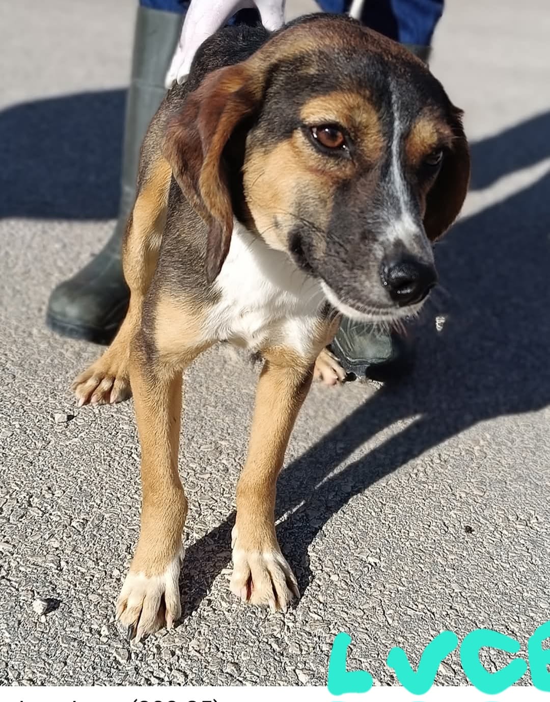 d6455060-727f-4102-a757-cf3f37e56f0a