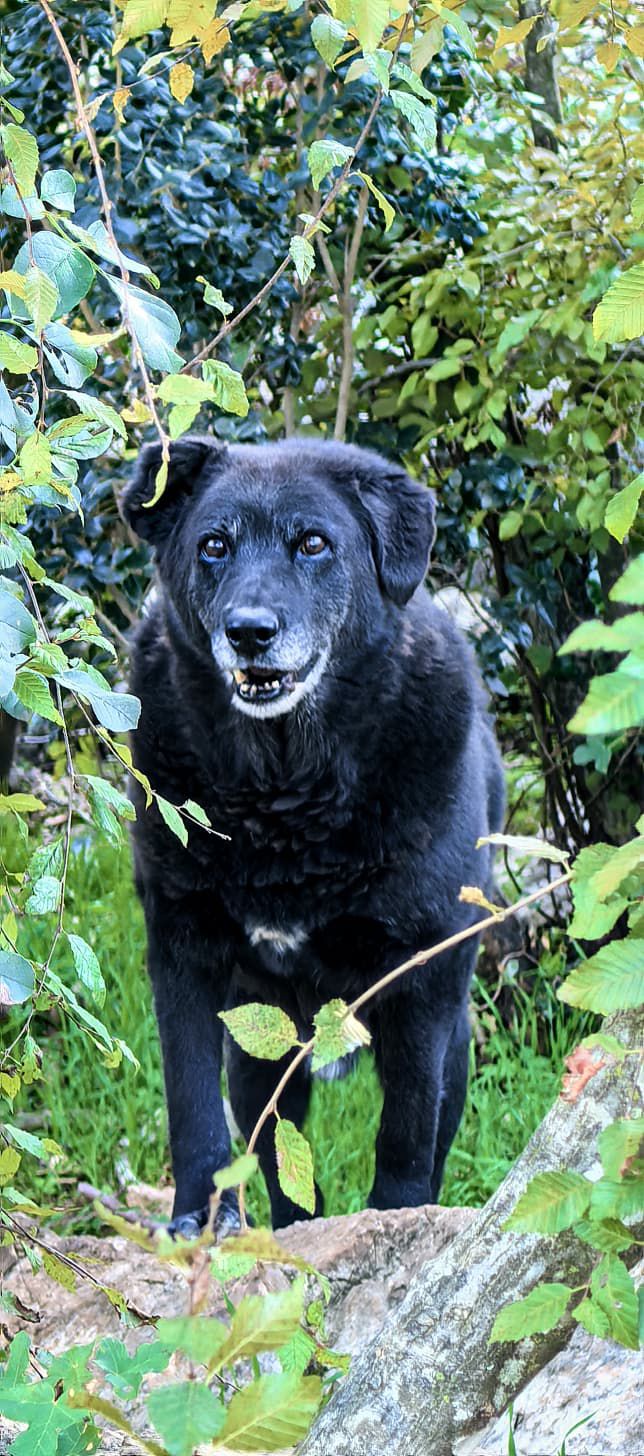 d9a1d9da-3e19-4b93-81b1-46f456d6c820