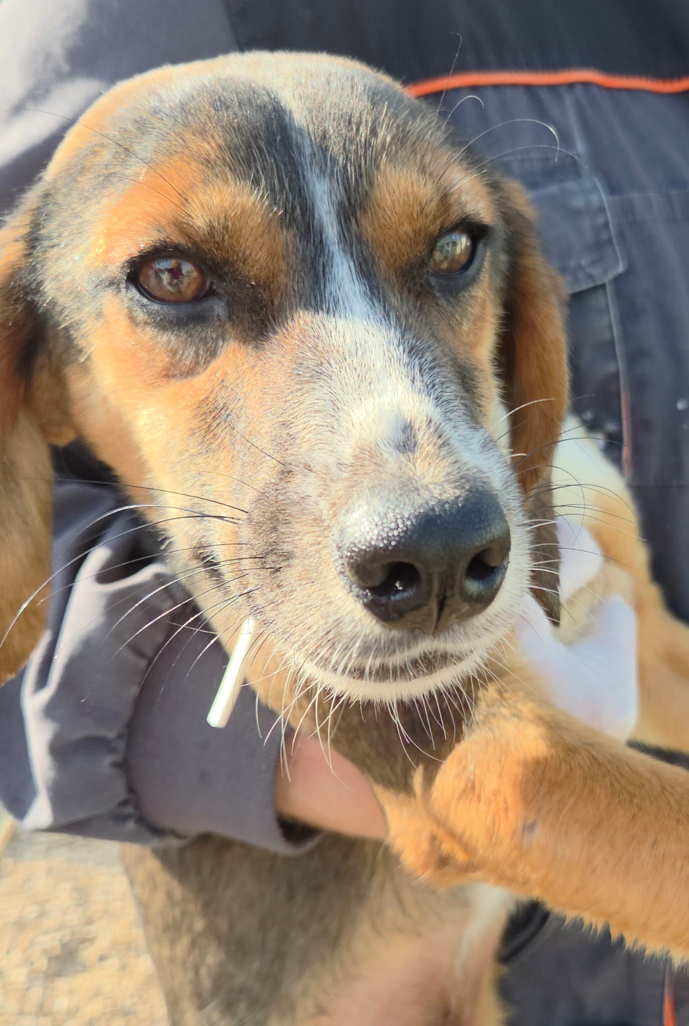 debce0d2-0d5a-4f82-9a3e-73f4b2e591d9