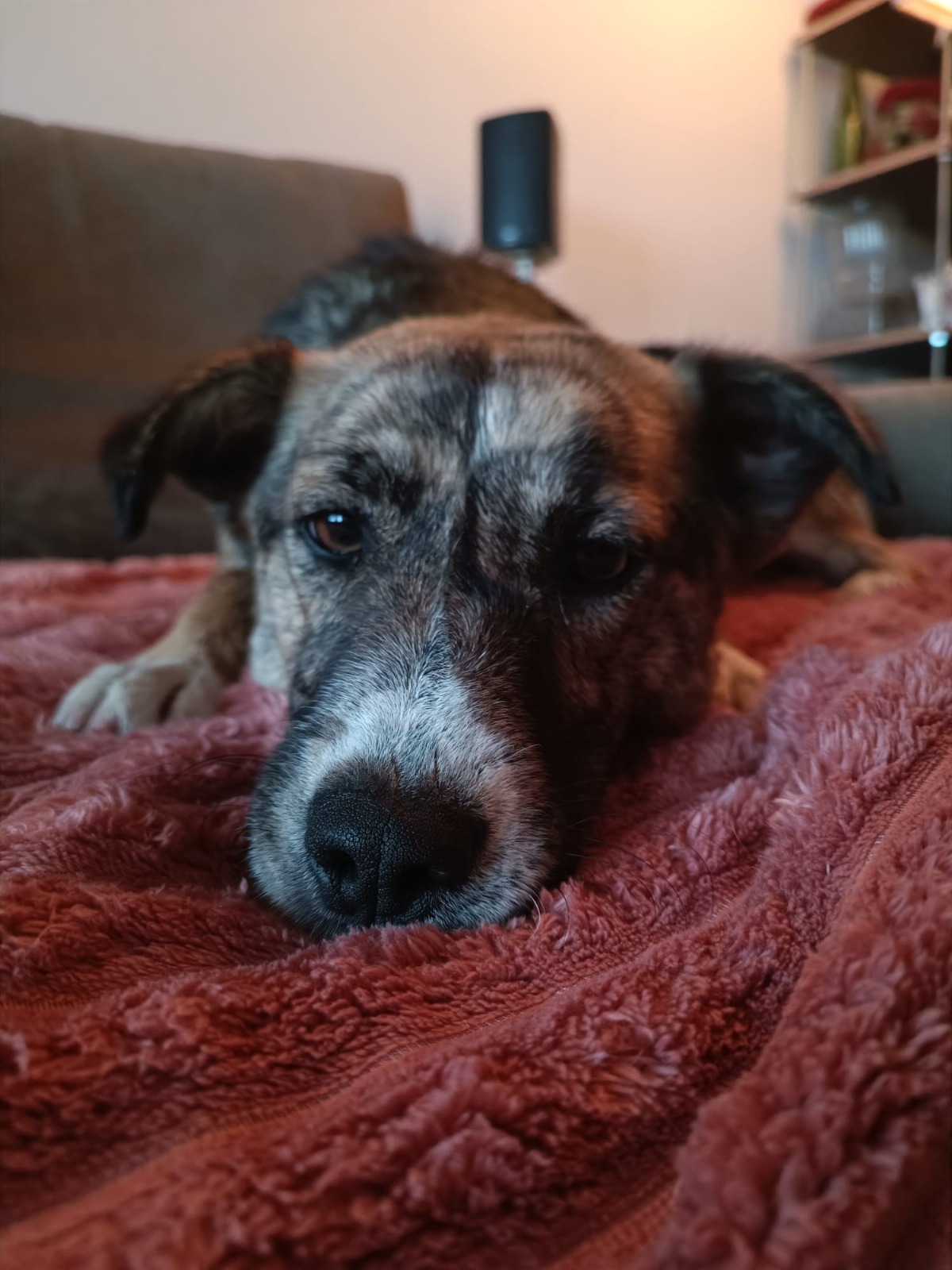 e17b58f7-a5cd-468d-9f78-345f44ec5604