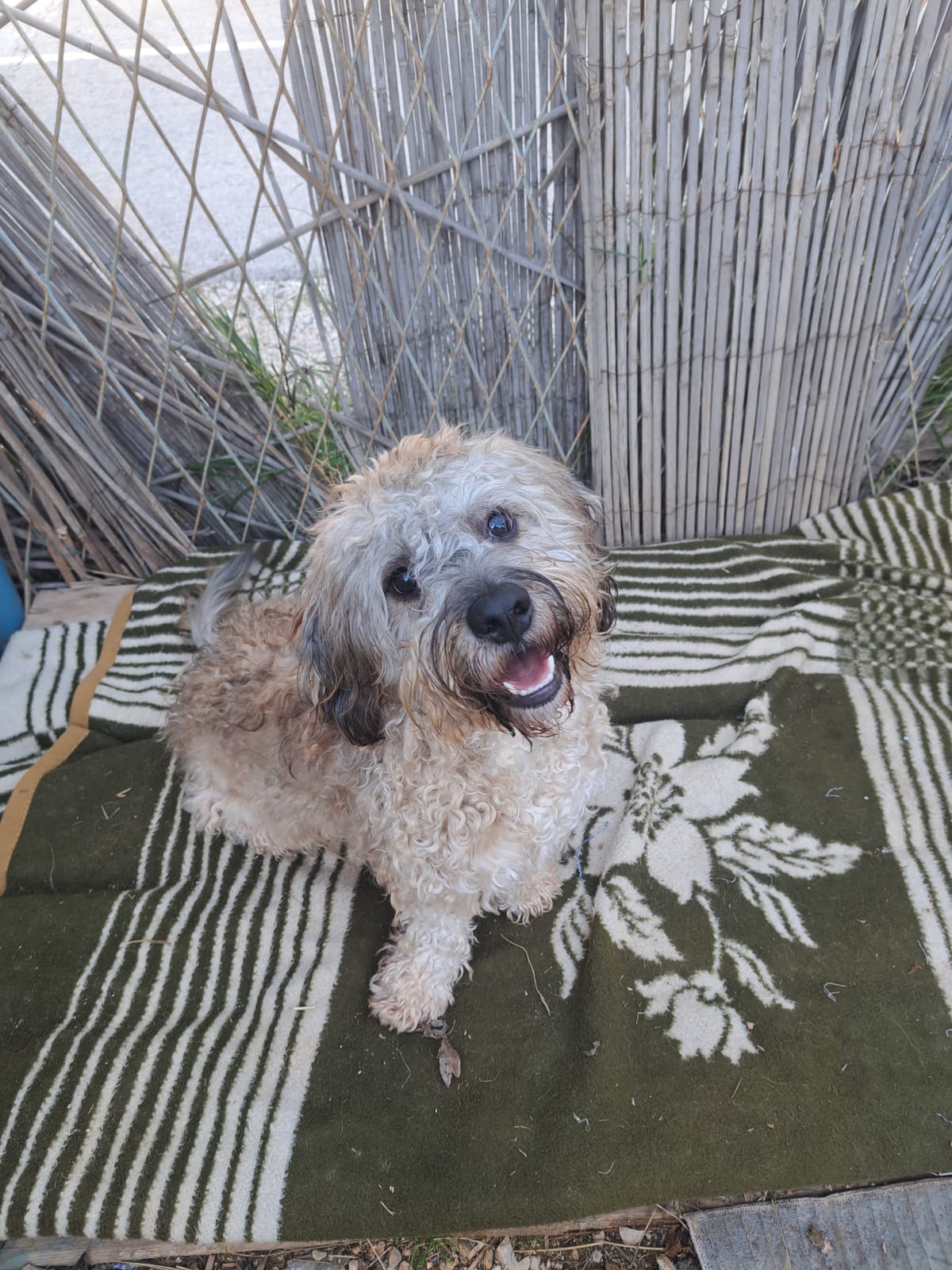 f0af814d-22cf-479c-9c2e-61d3fc07aa24