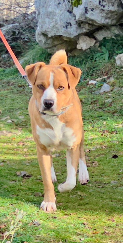 f160158a-83c6-442d-a8a7-40b9697f1bed