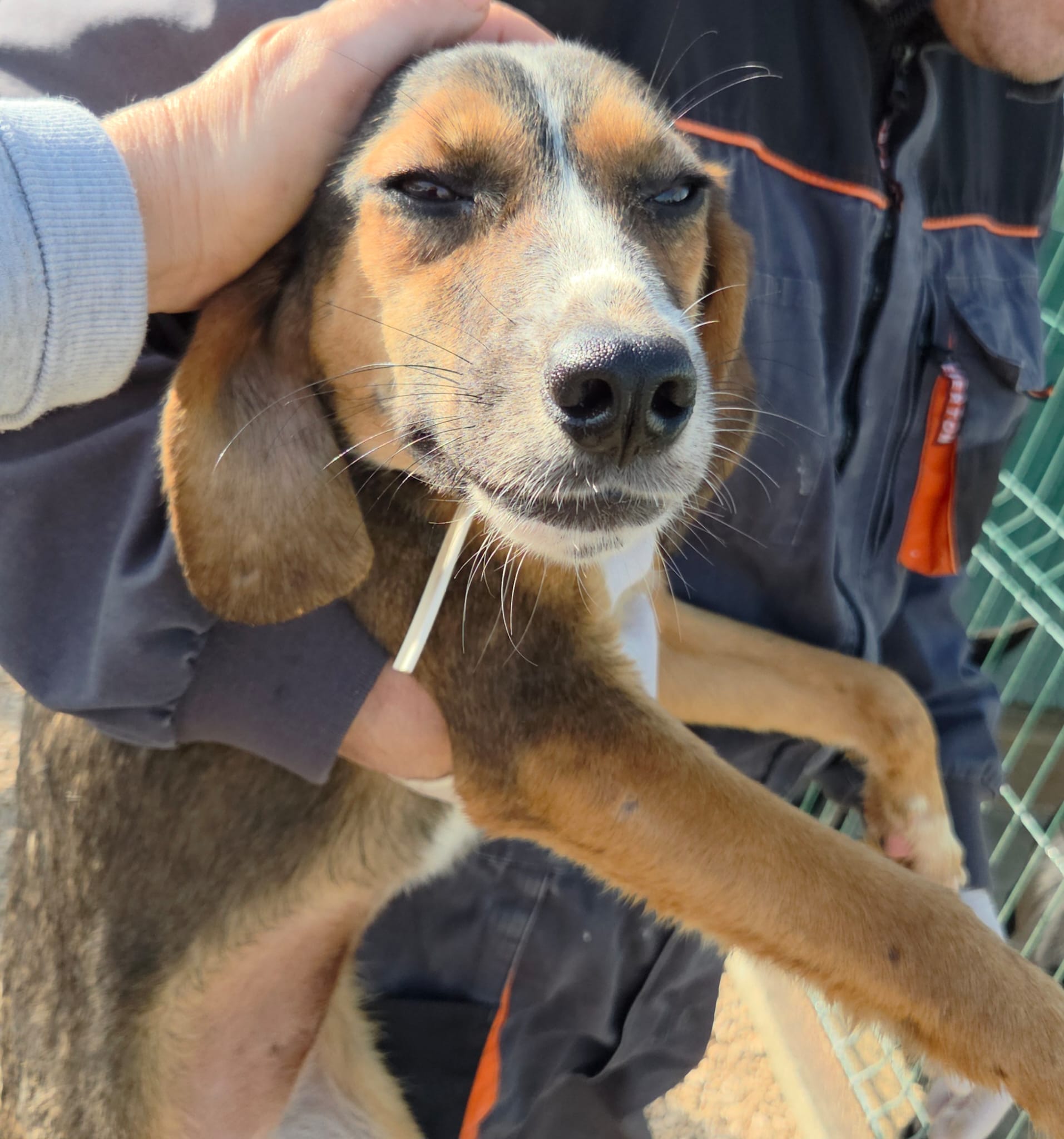 f9513b75-150f-4877-8ac9-d7a1f0cc26be