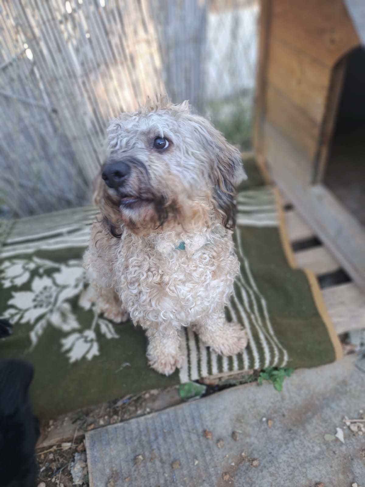 fb0f9b95-ce80-48b2-b06e-51dfe7b6452a