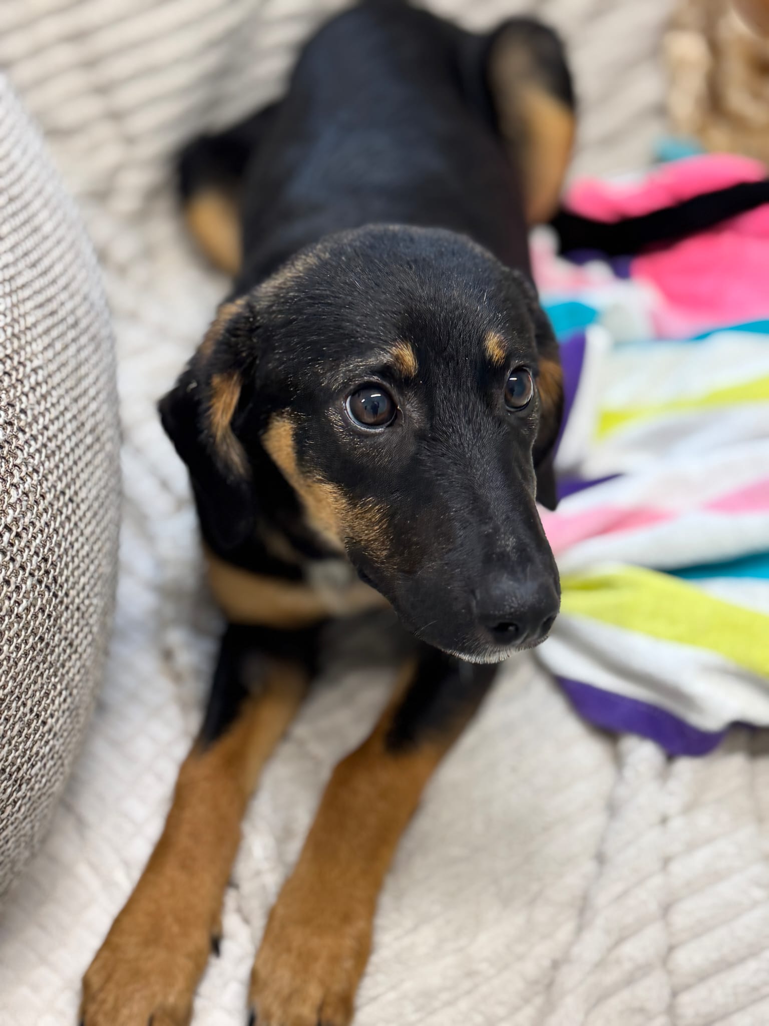 Fellnasen Stuttgart_Angie (4)