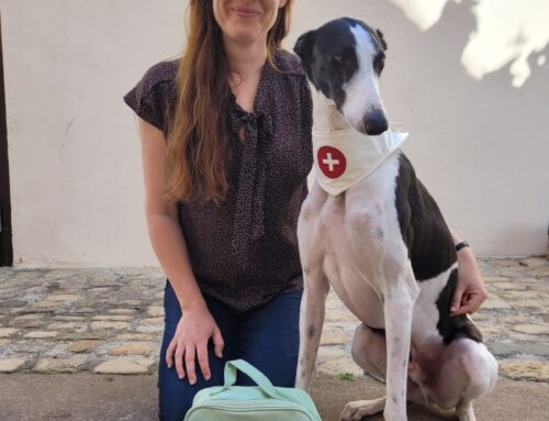 EVENT: Erste Hilfe am Hund am 16.05.2026