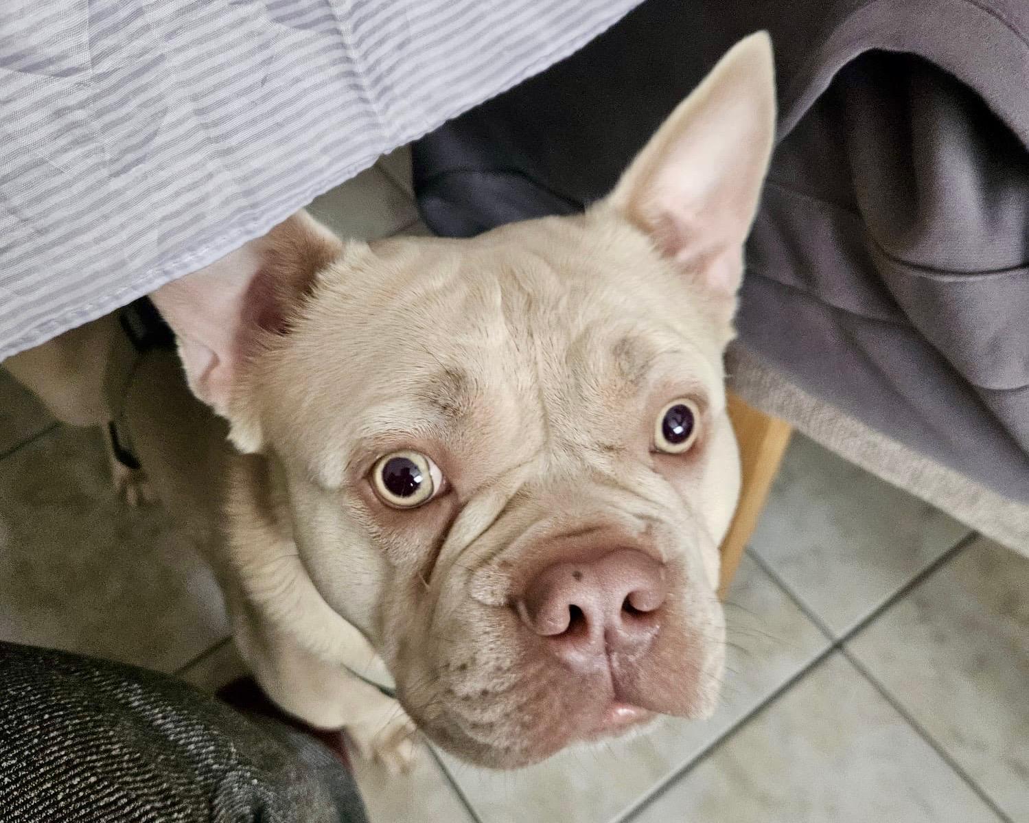 WhatsApp Image 2026-04-02 at 23.34.39