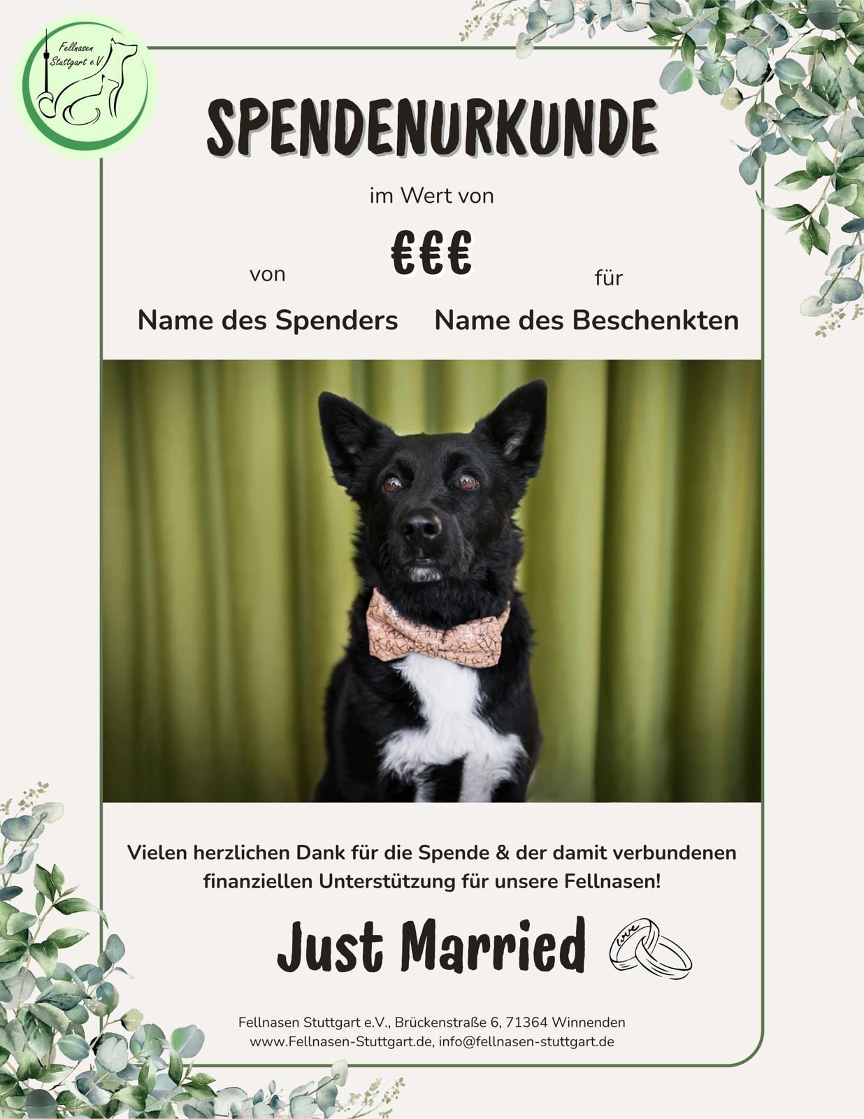Hochzeit 1