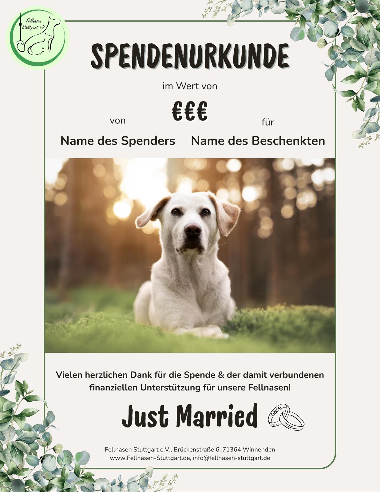 Hochzeit 2