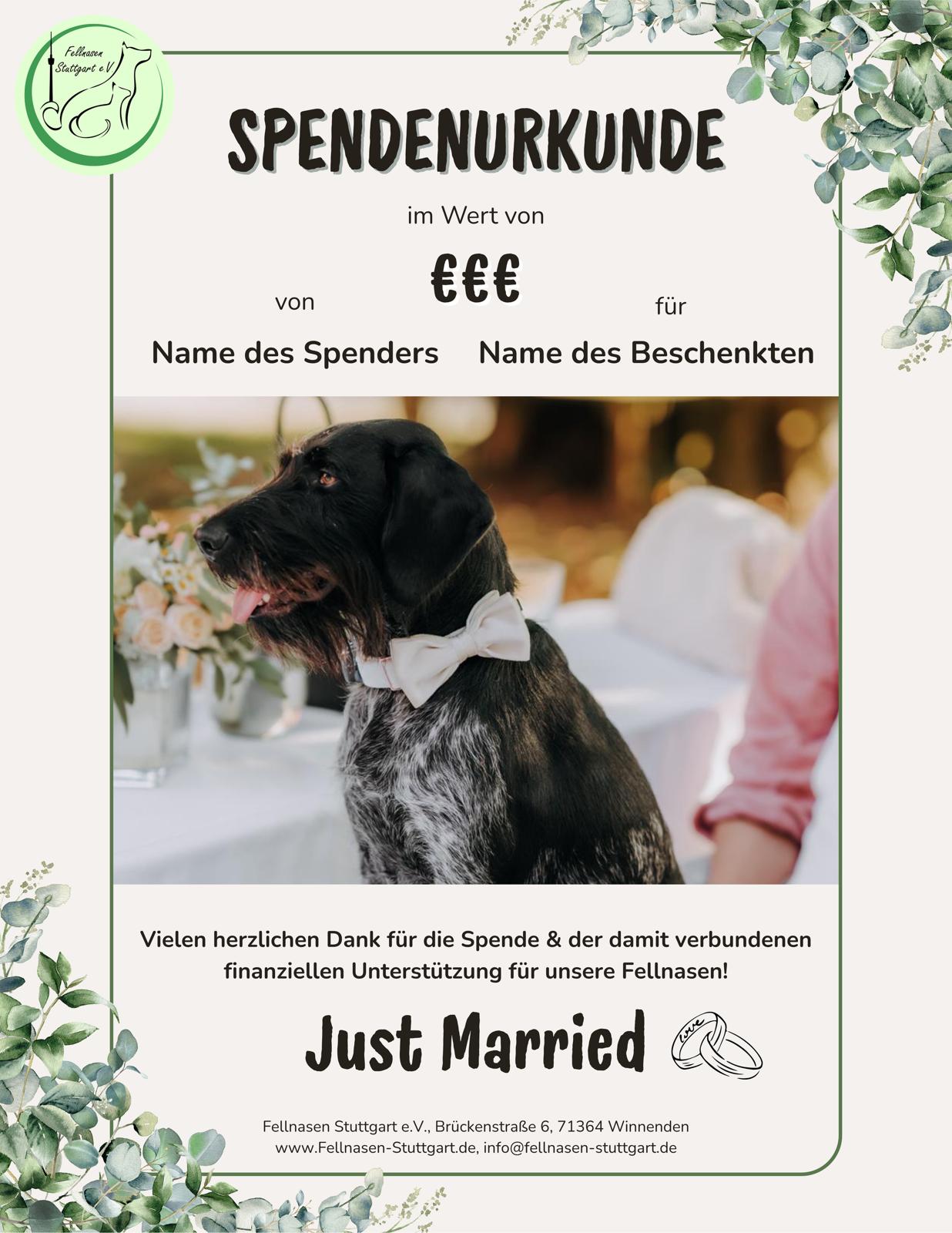Hochzeit 3