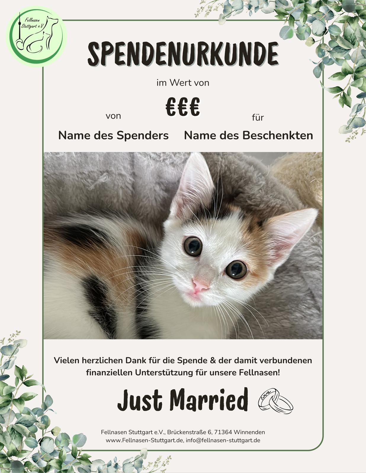 Hochzeit 4