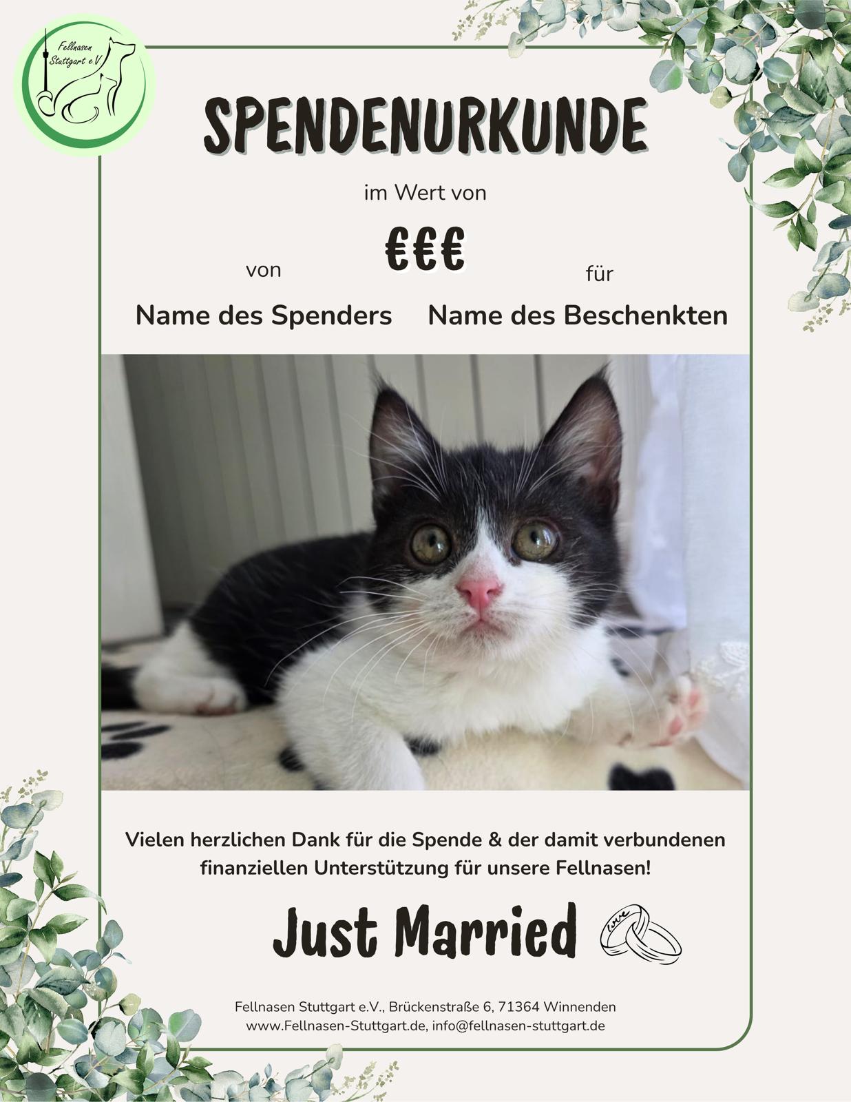 Hochzeit 5