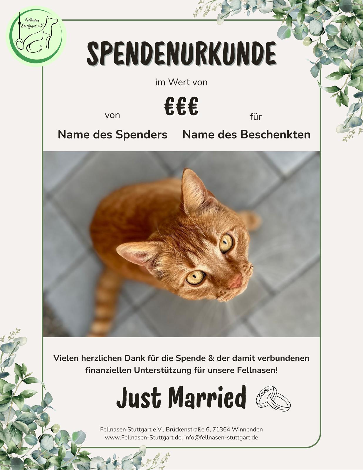 Hochzeit 6