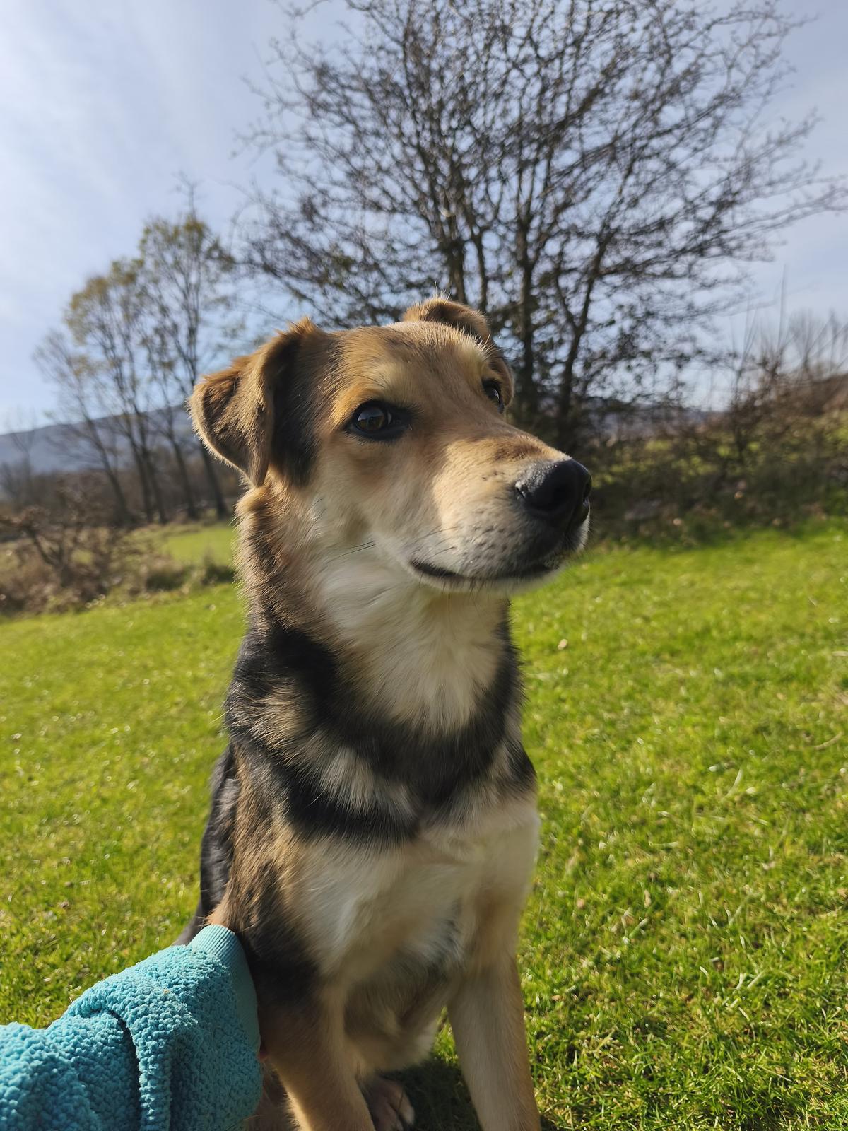 Hogan (2)