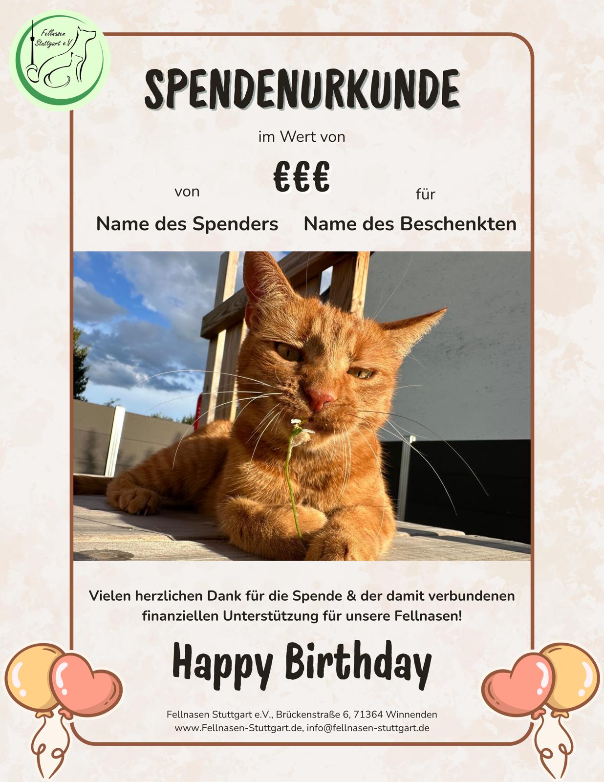 Spendenurkunde Geburtstag 5