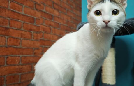 Bepo (2)
