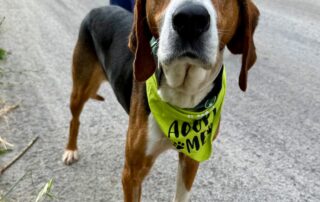 Roxy – 1