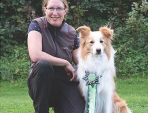 EVENT: Kommunikation Hund – Hund am 13.11.2026
