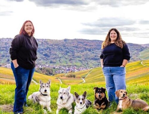 EVENT: Alltagshelden am 07.11.2026