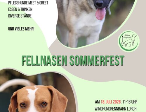 Fellnasen Sommerfest 2026